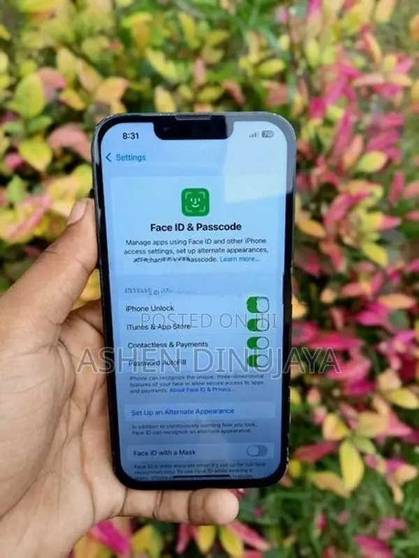 Apple iPhone 13 128GB (Used)