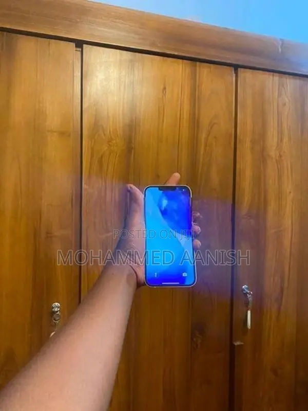 Apple iPhone 13 (Used)
