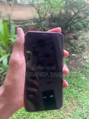 Apple iPhone 11 (Used)