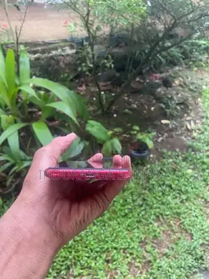 Apple iPhone 11 (Used)