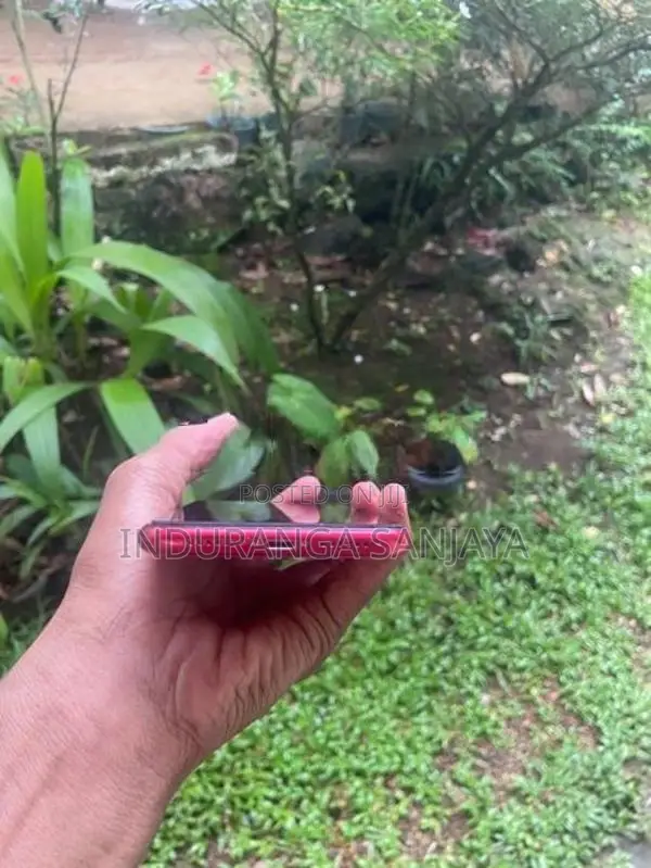 Apple iPhone 11 (Used)