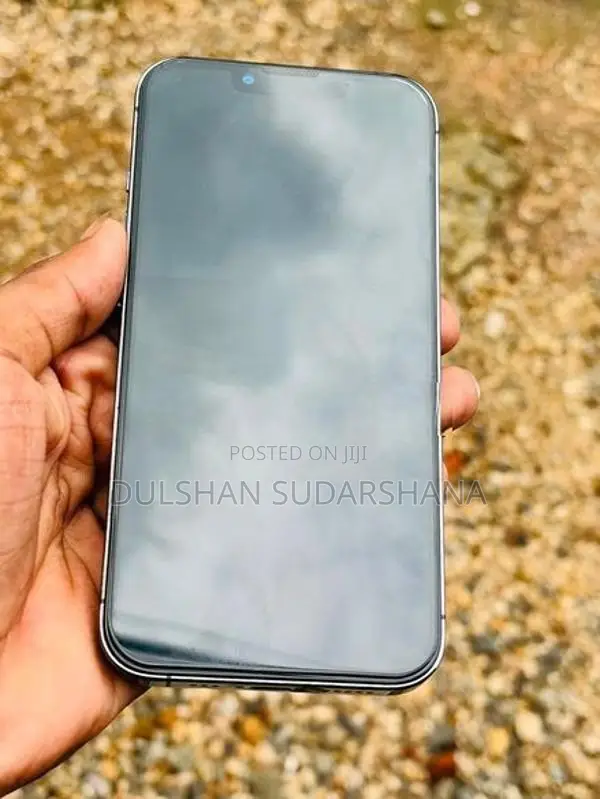 Apple iPhone 13 Pro 256GB (Used)