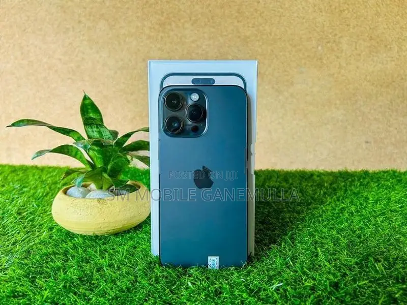 Apple iPhone 14 Pro Max 256GB (Used)
