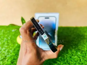 Apple iPhone 14 Pro Max 256GB (Used)