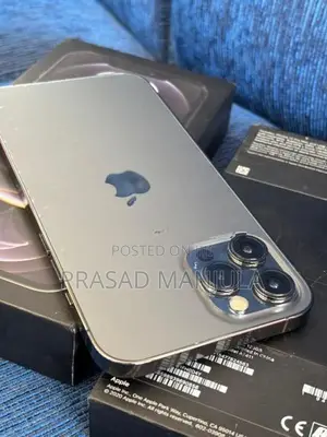 Apple iPhone 12 Pro Max (Used)