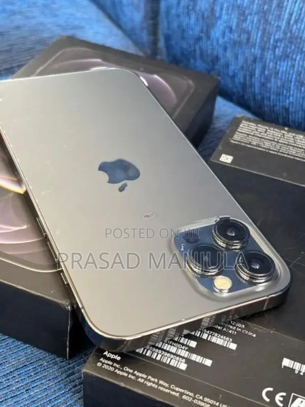 Apple iPhone 12 Pro Max (Used)