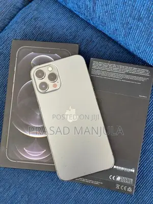 Apple iPhone 12 Pro Max (Used)
