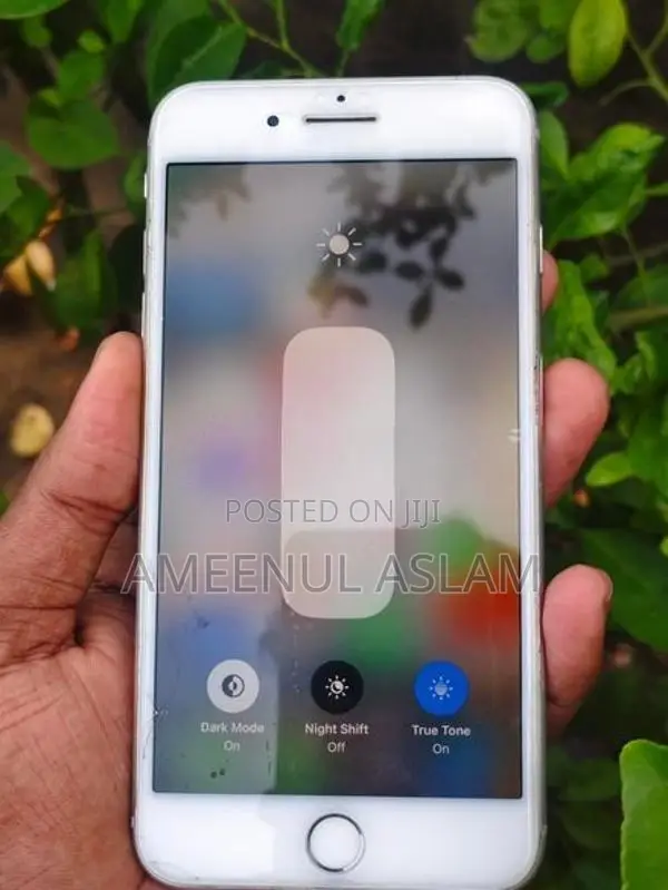 Apple iPhone 8 Plus (Used)