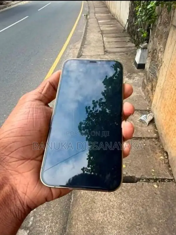 Apple iPhone 12 Pro (Used)
