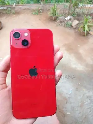 Apple iPhone 13 (Used)