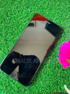 Apple iPhone 7 Plus (Used)