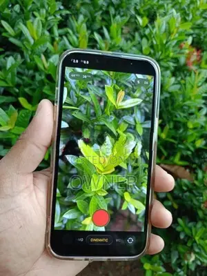 Apple iPhone 14 256GB (Used)