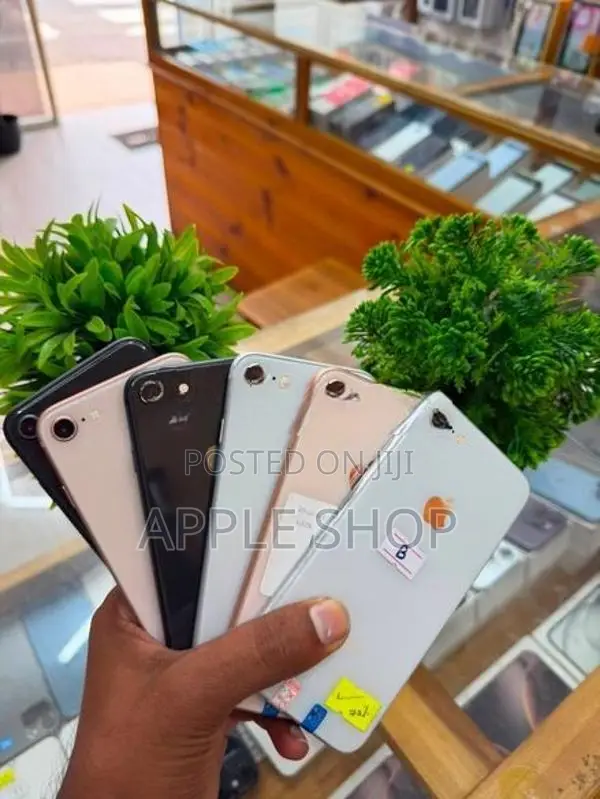 Apple iPhone 8 64GB (Used)
