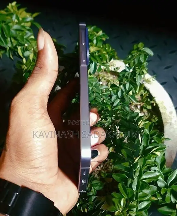 Samsung Galaxy A56 5G (Used)