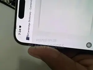 Apple iPhone 15 Pro Max (Used)