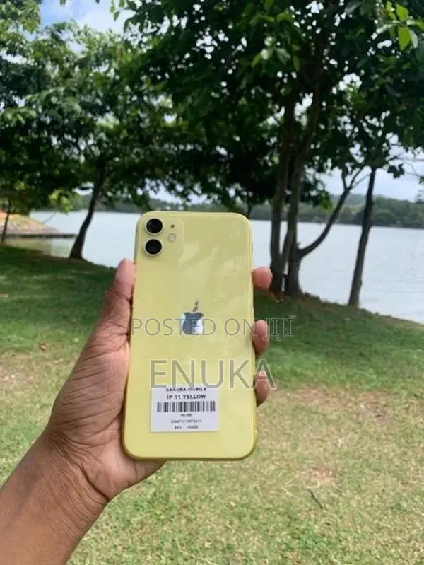 Apple iPhone 11 (Used)