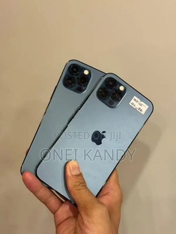 Apple iPhone 12 Pro Max 256GB (Used)