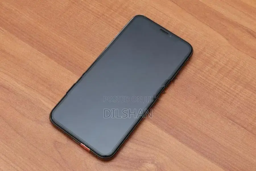 Apple iPhone X 256 (Used)