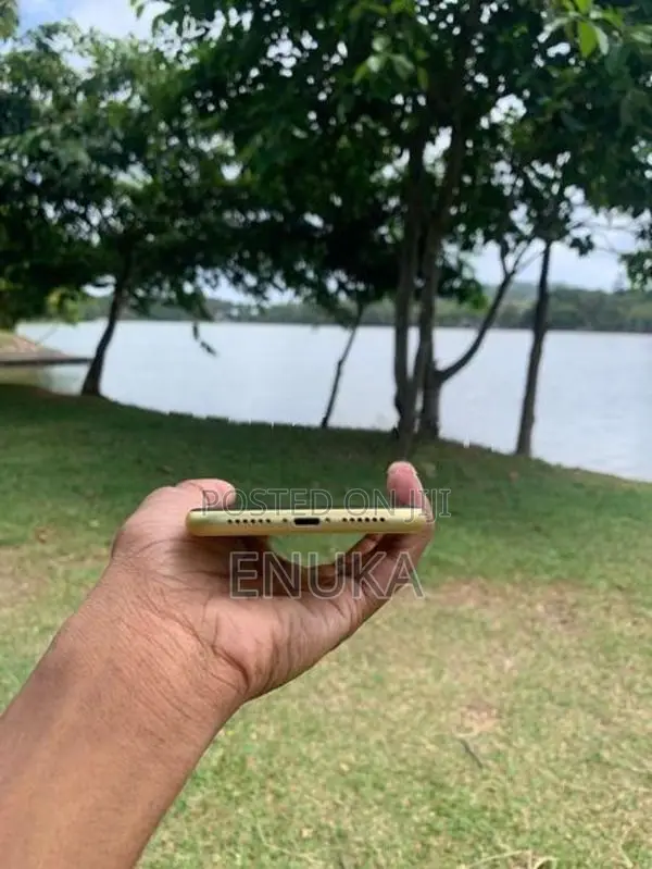 Apple iPhone 11 (Used)
