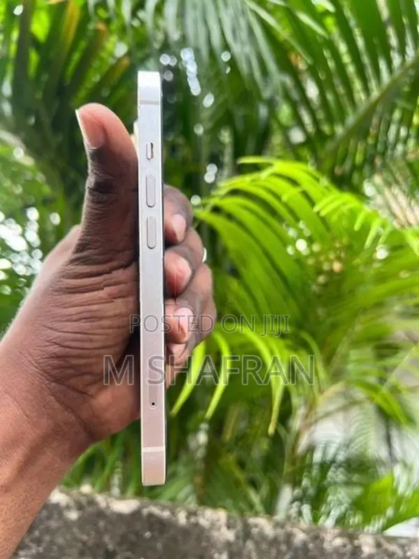 Apple iPhone 13 128 gb (Used)