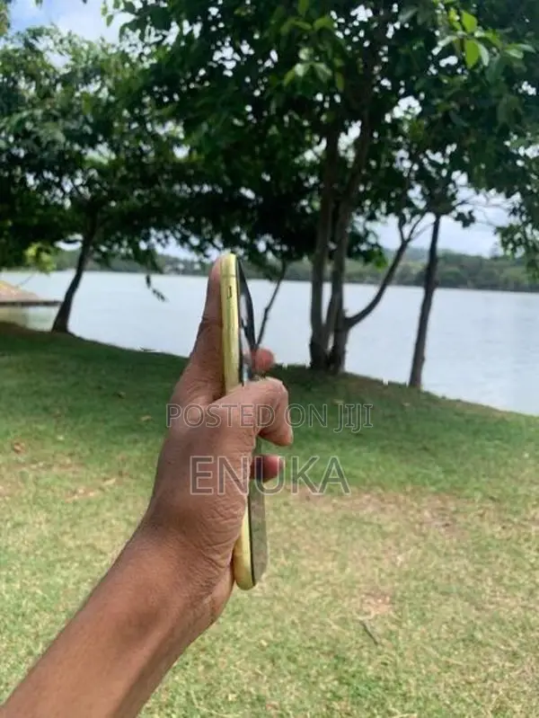 Apple iPhone 11 (Used)