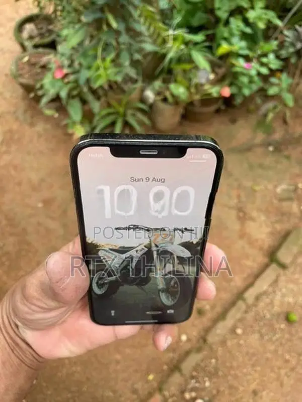 Apple iPhone 12 Pro (Used)