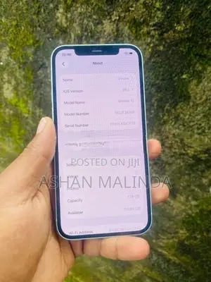 Apple iPhone 12 128GB green (Used)