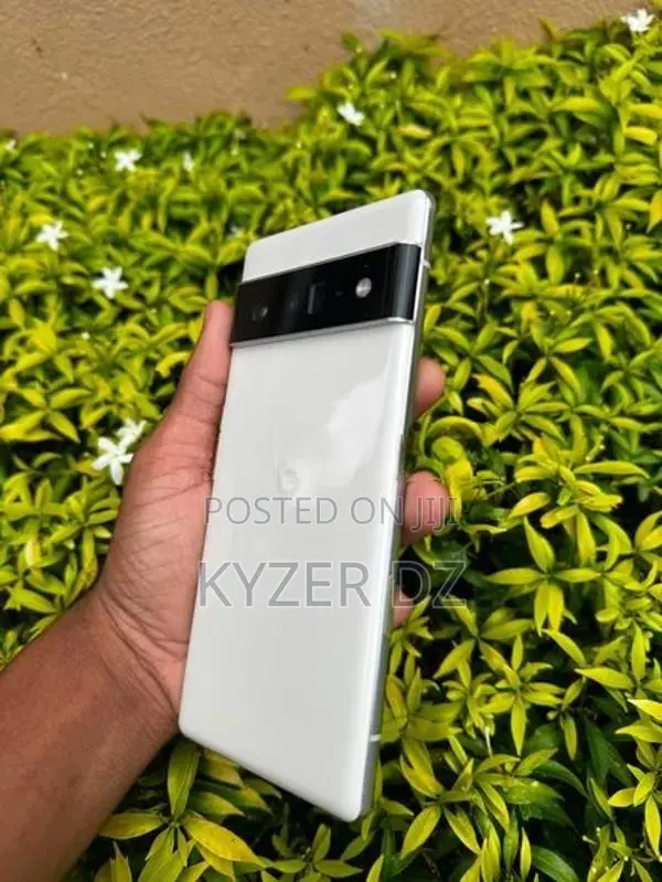 Google Pixel 6 Pro (Used)