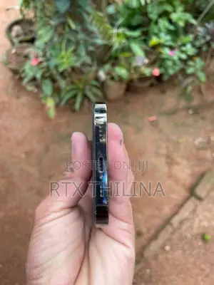 Apple iPhone 12 Pro (Used)
