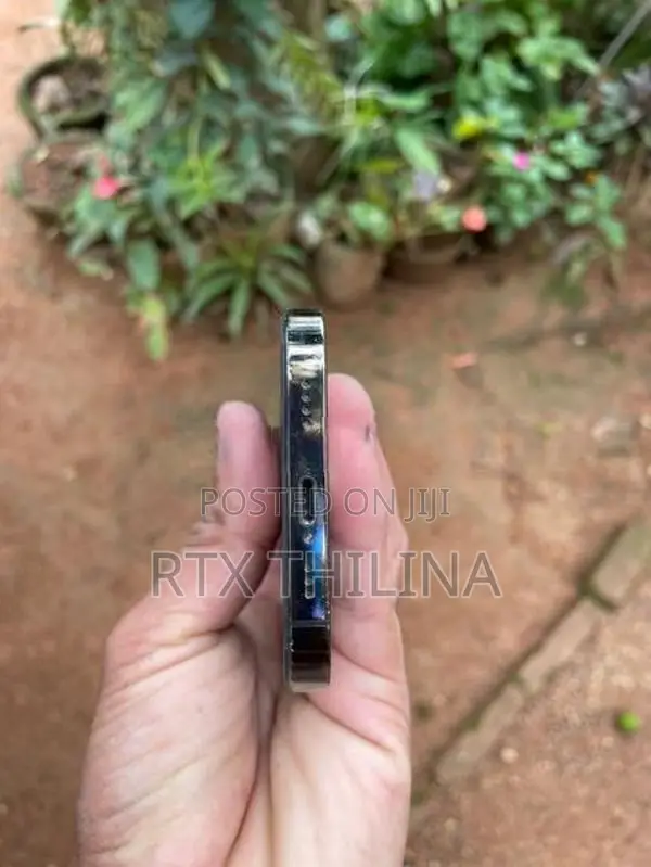 Apple iPhone 12 Pro (Used)