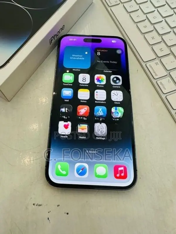 Apple iPhone 14 Pro Max 256GB (Used)