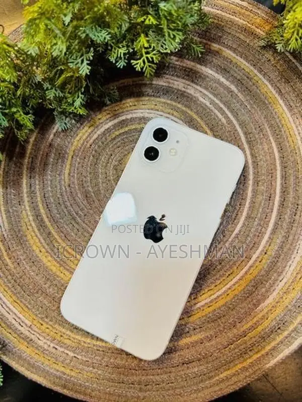 Apple iPhone 12 128GB (Used)