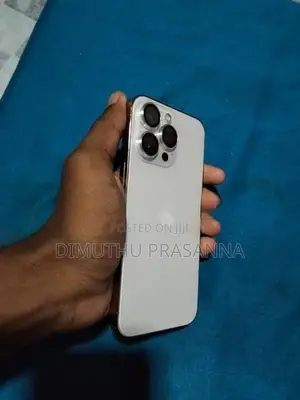 Apple iPhone 13 Pro (Used)
