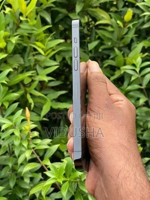 Apple iPhone 14 Pro Max (Used)
