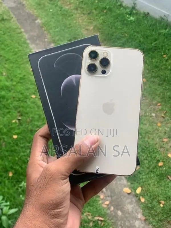 Apple iPhone 12 Pro Max 128 GB (Used)