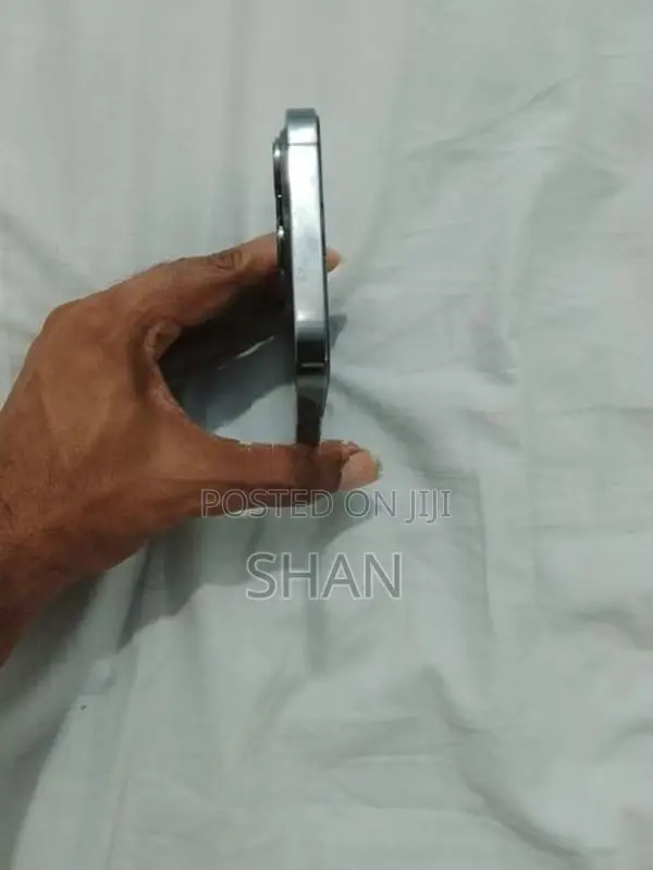 Apple iPhone 13 Pro 256 GB (Used)