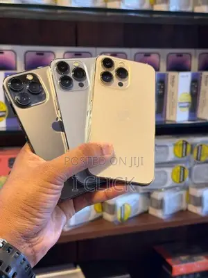 Apple iPhone 13 Pro 256GB (Used)