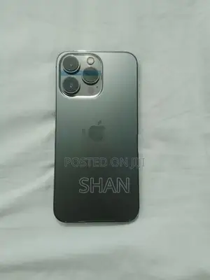 Apple iPhone 13 Pro 256 GB (Used)