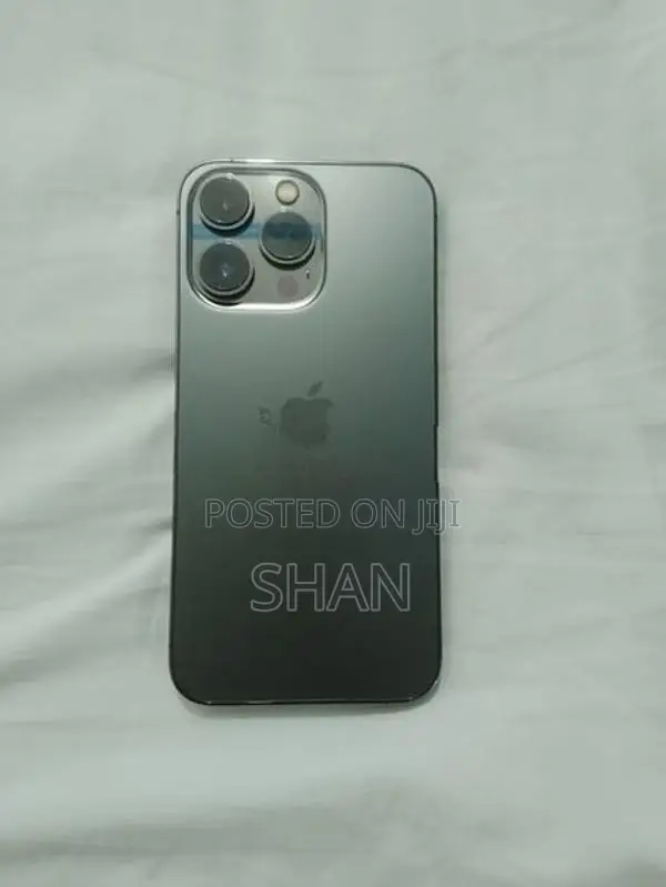 Apple iPhone 13 Pro 256 GB (Used)