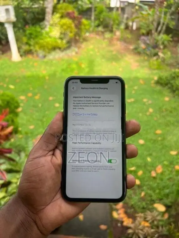 Apple iPhone 11 (Used)