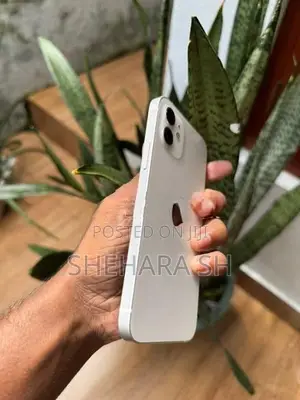 Apple iPhone 12 128GB (Used)