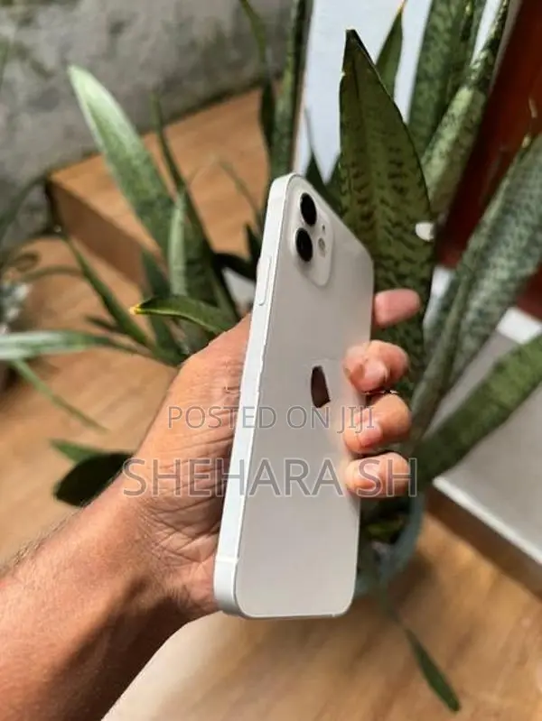 Apple iPhone 12 128GB (Used)