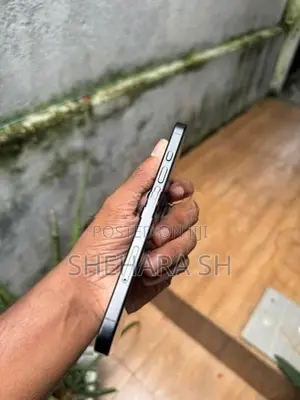 Apple iPhone 16 128GB (Used)