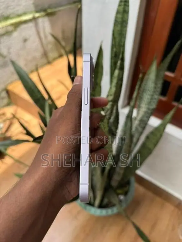 Apple iPhone 14 128GB (Used)