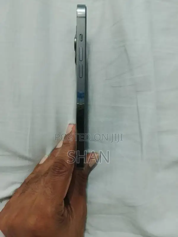 Apple iPhone 13 Pro 256 GB (Used)