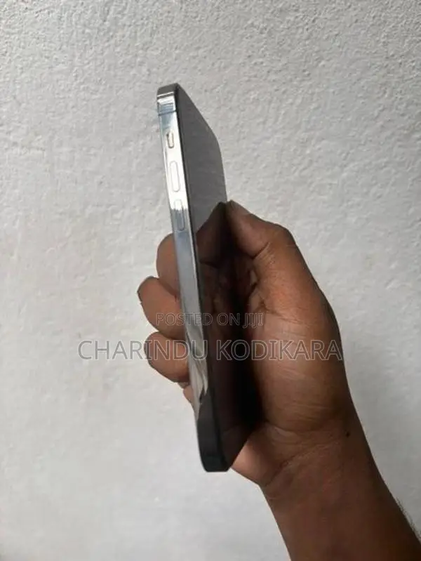 Apple iPhone 12 Pro (Used)