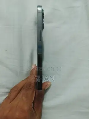 Apple iPhone 13 Pro 256 GB (Used)