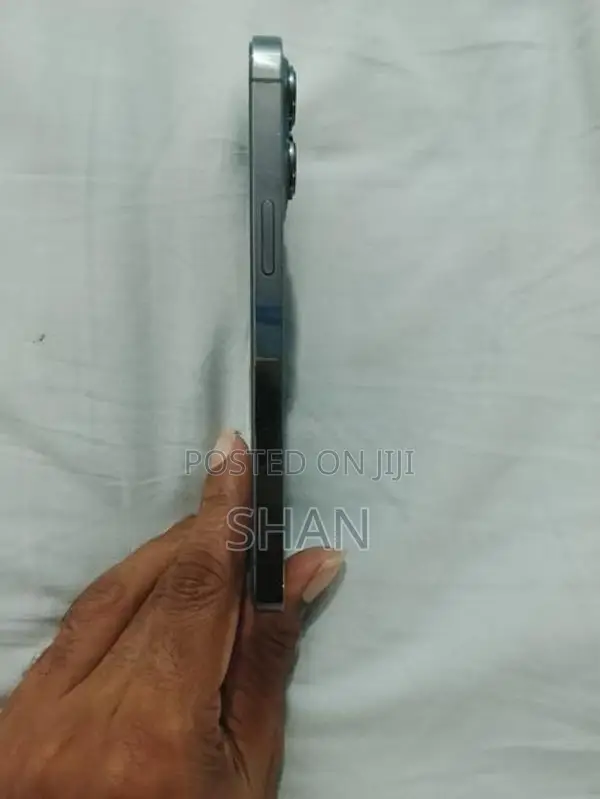 Apple iPhone 13 Pro 256 GB (Used)