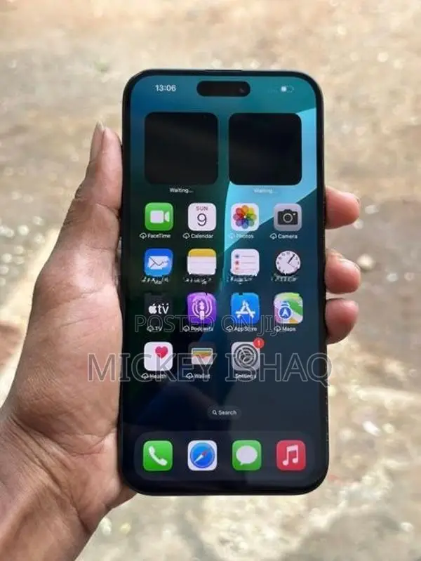 Apple iPhone 15 Plus (Used)