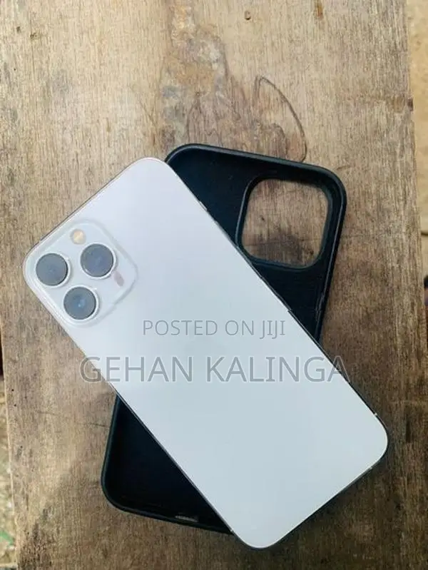 Apple iPhone 13 Pro Max (Used)